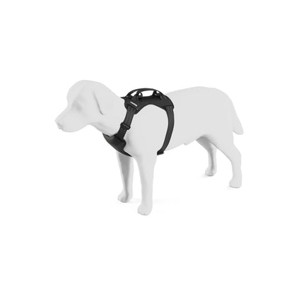 Cappy Dog Harness S, Seatbelt Passthrough, Leash Loop, Step-in Design