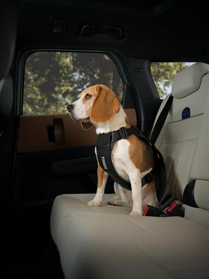 Cappy Dog Harness S, Seatbelt Passthrough, Leash Loop, Step-in Design