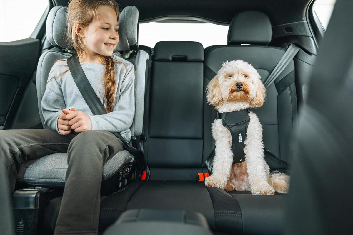 Cappy Dog Harness S, Seatbelt Passthrough, Leash Loop, Step-in Design