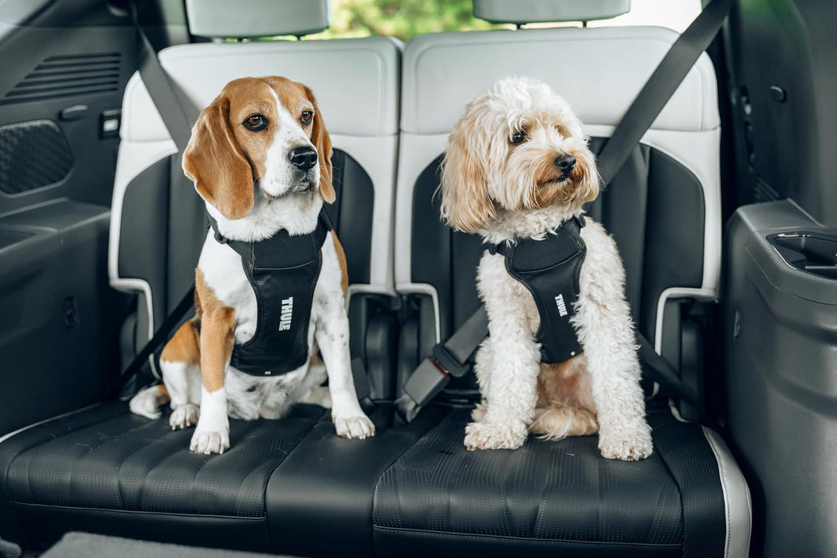 Cappy Dog Harness S, Seatbelt Passthrough, Leash Loop, Step-in Design
