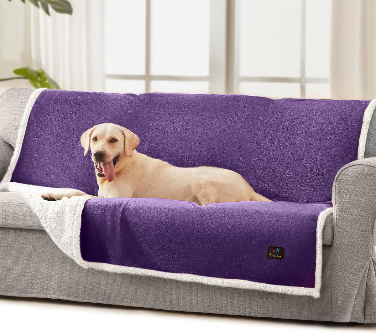 Waterproof Pet Blanket, Washable Reversible Sherpa Fleece Throw | Liquid-proof furniture protector for bed and couch, soft reversible sherpa fleece for dogs, cats grey, XS