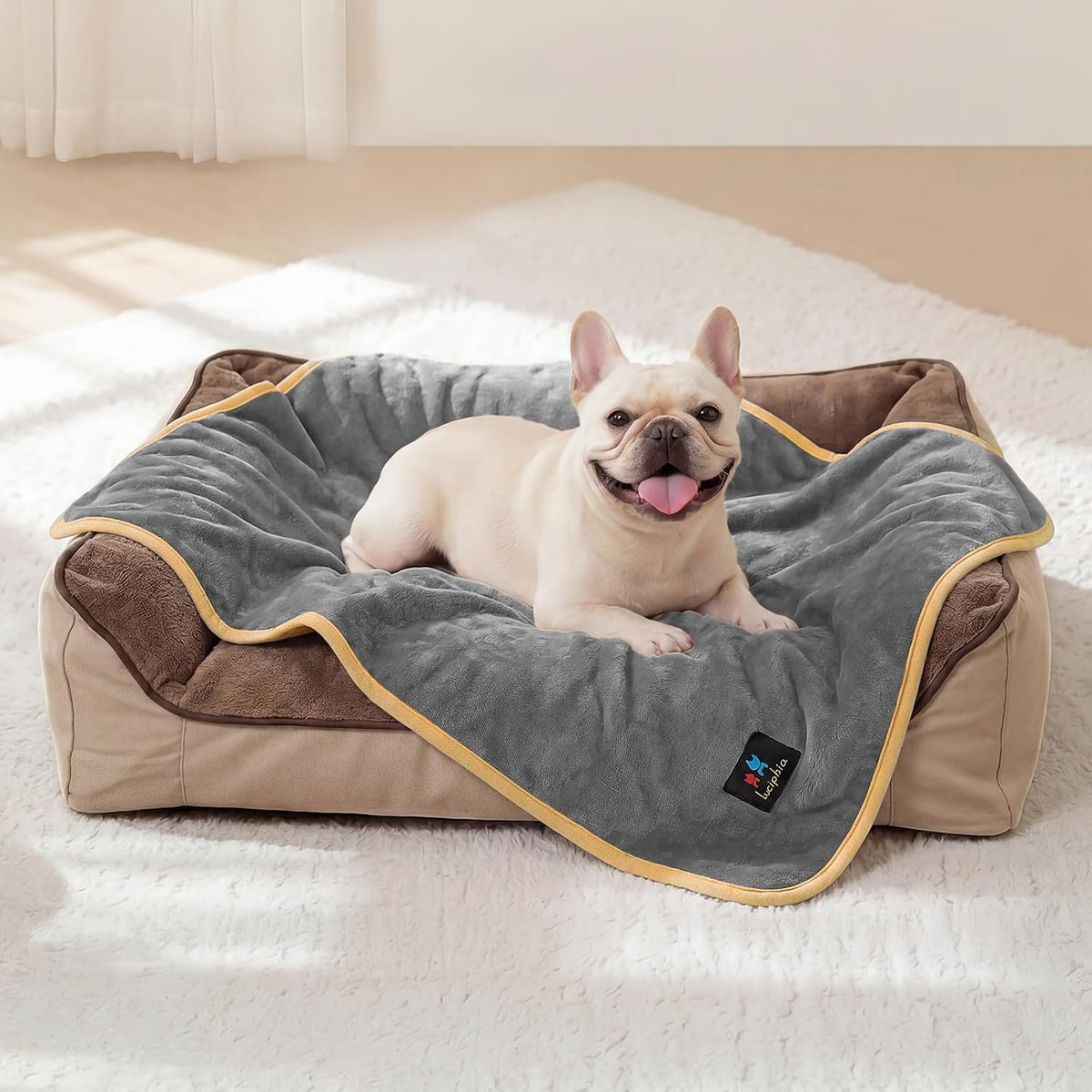 Waterproof Pet Blanket, Washable Reversible Sherpa Fleece Throw | Liquid-proof furniture protector for bed and couch, soft reversible sherpa fleece for dogs, cats grey, XS