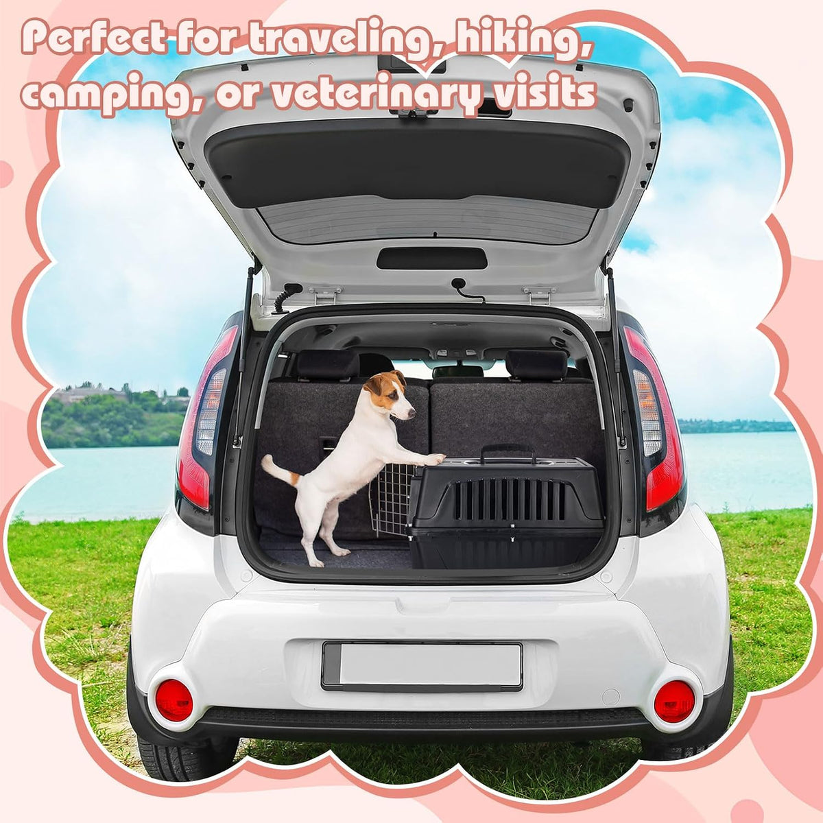 2 Set 18.9" Pet Carrier for Small Cats and Dogs, Hard Sided Plastic Cat Kennel for Pet with Front Door Security Lock Fully Breathable Travel Crate, up to 13 Lbs(Blue,18.9 x 12.6 x 11.8 Inch)