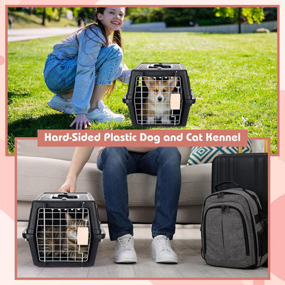 2 Set 18.9" Pet Carrier for Small Cats and Dogs, Hard Sided Plastic Cat Kennel for Pet with Front Door Security Lock Fully Breathable Travel Crate, up to 13 Lbs(Blue,18.9 x 12.6 x 11.8 Inch)