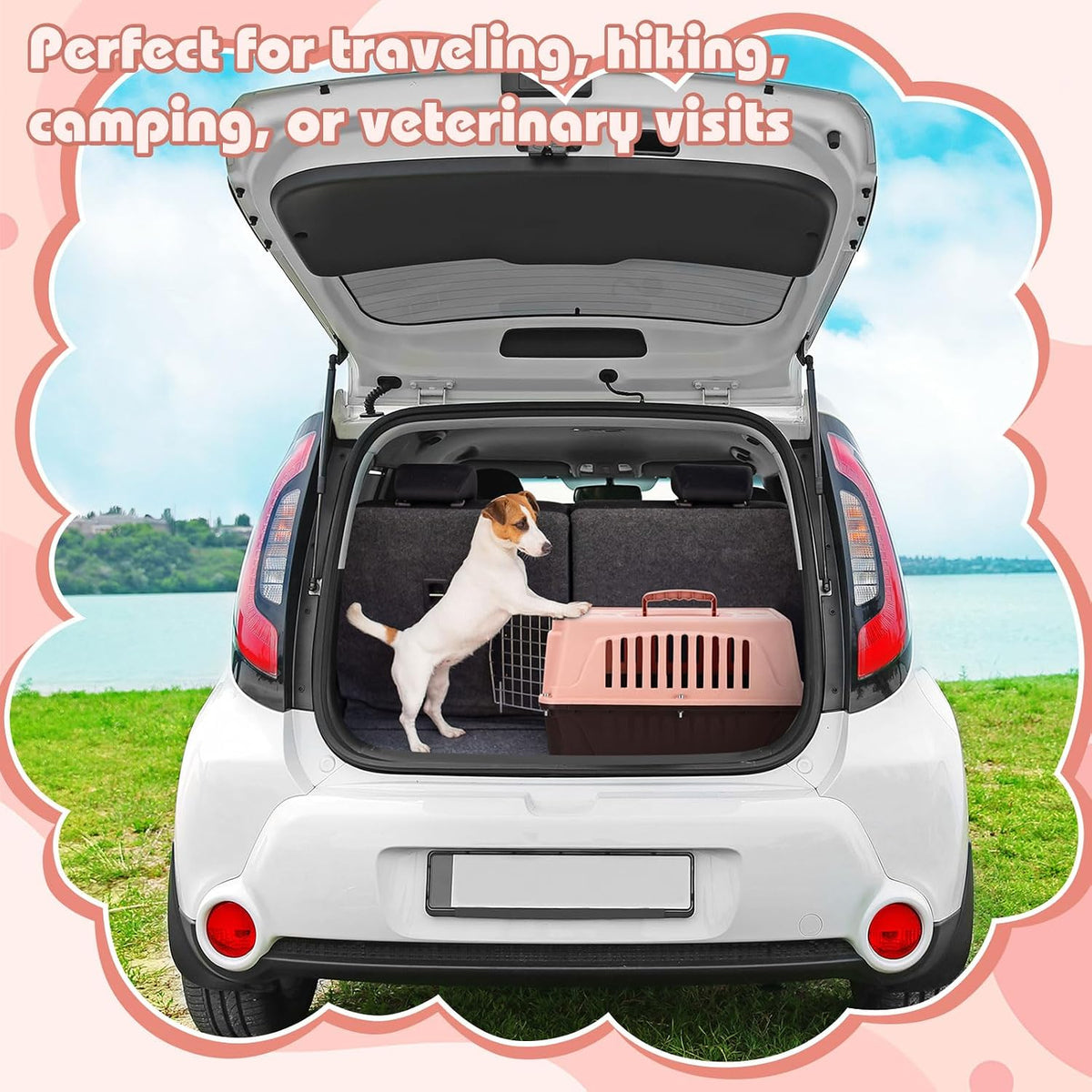 2 Set 18.9" Pet Carrier for Small Cats and Dogs, Hard Sided Plastic Cat Kennel for Pet with Front Door Security Lock Fully Breathable Travel Crate, up to 13 Lbs(Blue,18.9 x 12.6 x 11.8 Inch)