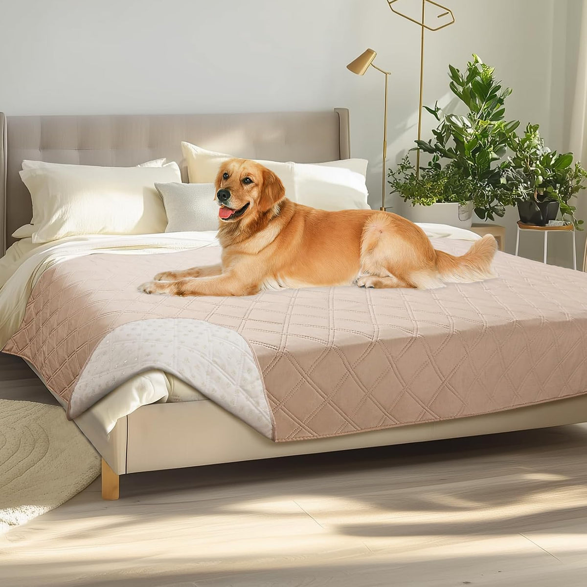 Waterproof Couch Cover for Dogs, Non-Slip Pet Sofa Protector | Non-slip waterproof couch cover scratch-resistant machine washable protects sofa bed, Grey, 30" x 70"