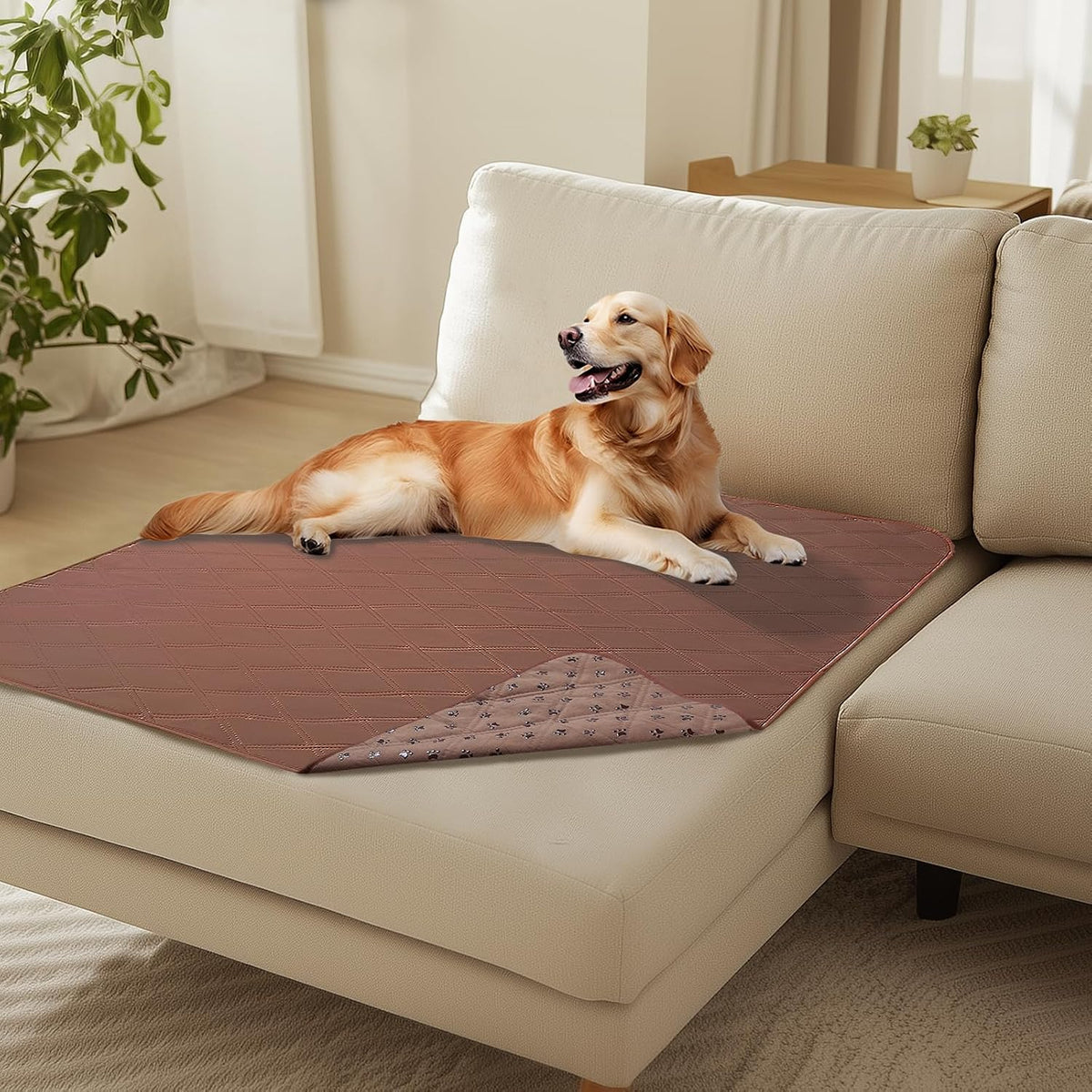 Waterproof Couch Cover for Dogs, Non-Slip Pet Sofa Protector | Non-slip waterproof couch cover scratch-resistant machine washable protects sofa bed, Grey, 30" x 70"