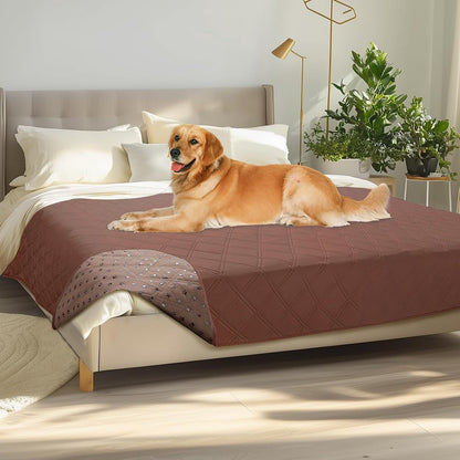 Waterproof Couch Cover for Dogs, Non-Slip Pet Sofa Protector | Non-slip waterproof couch cover scratch-resistant machine washable protects sofa bed, Grey, 30" x 70"