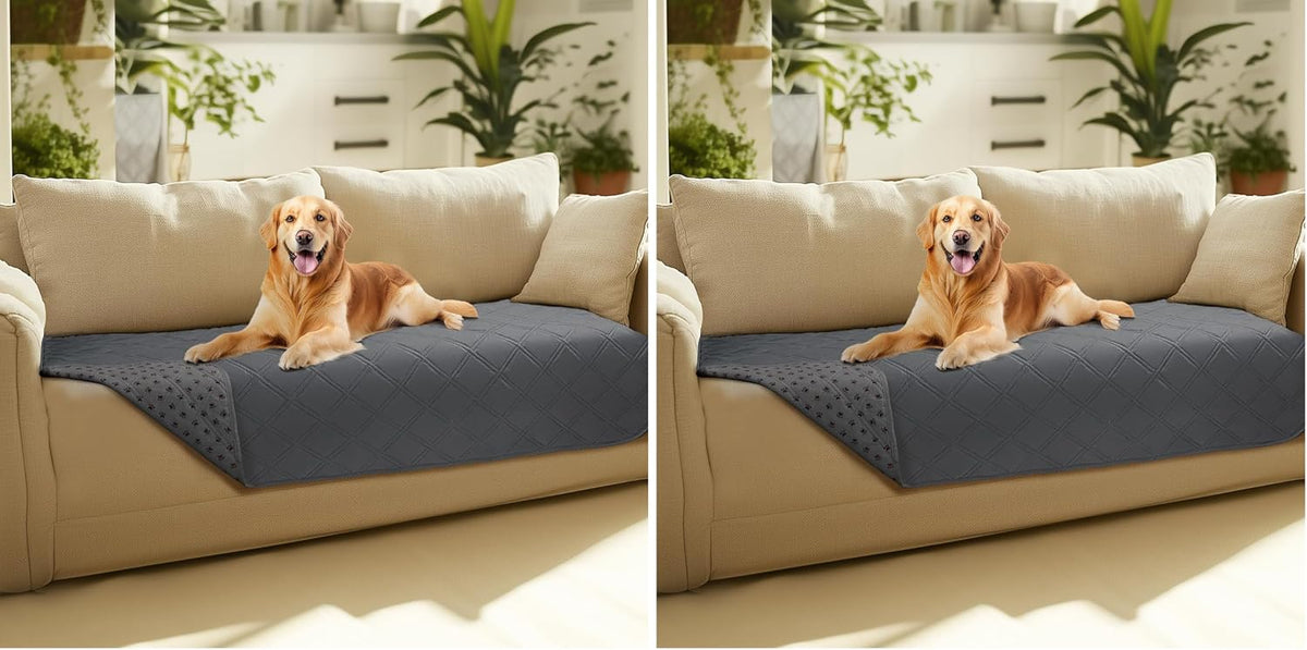 Waterproof Couch Cover for Dogs, Non-Slip Pet Sofa Protector | Non-slip waterproof couch cover scratch-resistant machine washable protects sofa bed, Grey, 30" x 70"