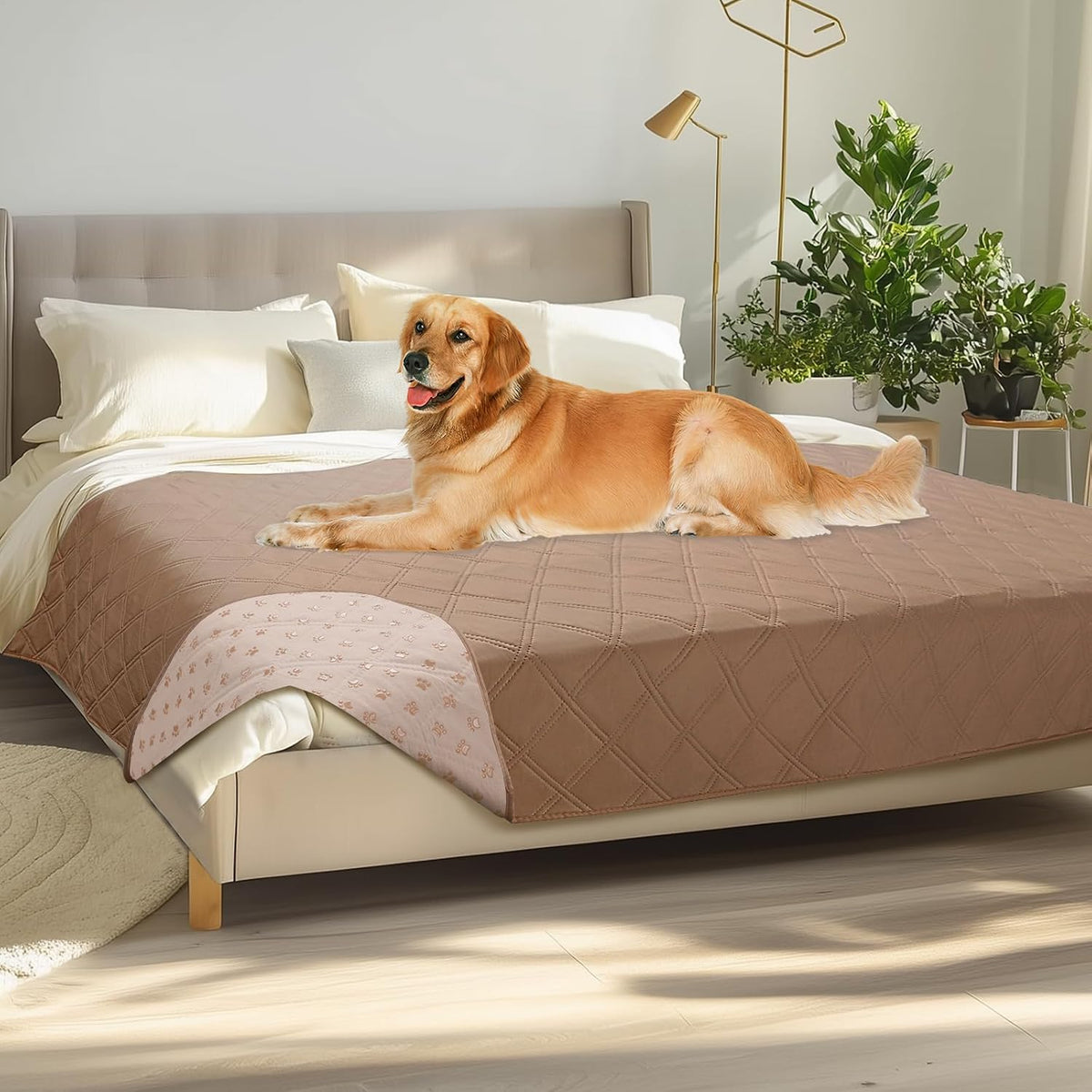 Waterproof Couch Cover for Dogs, Non-Slip Pet Sofa Protector | Non-slip waterproof couch cover scratch-resistant machine washable protects sofa bed, Grey, 30" x 70"