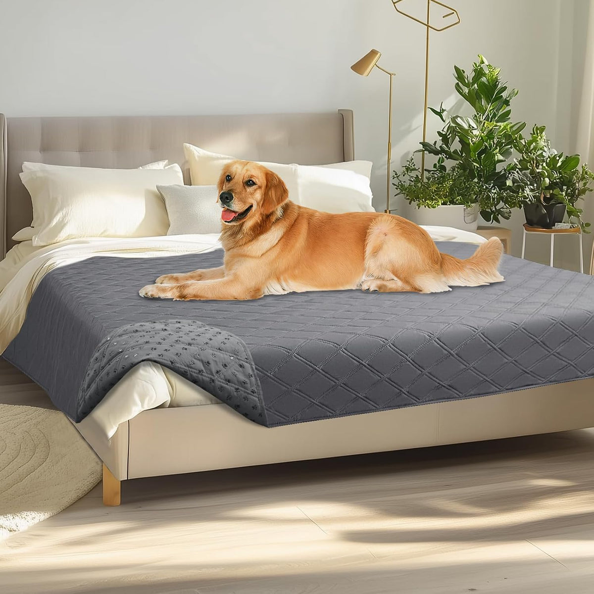 Waterproof Couch Cover for Dogs, Non-Slip Pet Sofa Protector | Non-slip waterproof couch cover scratch-resistant machine washable protects sofa bed, Grey, 30" x 70"