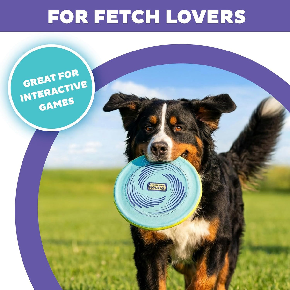 FlyFetch Disc Dog Toy, Aerodynamic for Fetch, Lightweight Foam & Durable Rubber, Floats in Water, All Breeds, 8.3"