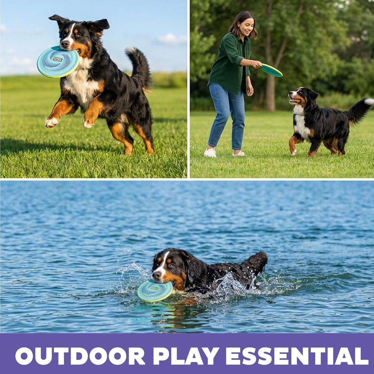 FlyFetch Disc Dog Toy, Aerodynamic for Fetch, Lightweight Foam & Durable Rubber, Floats in Water, All Breeds, 8.3"