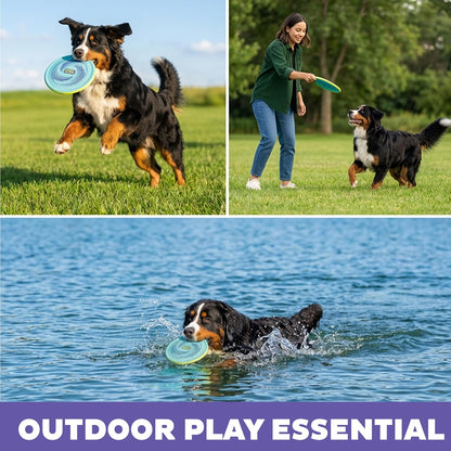 FlyFetch Disc Dog Toy, Aerodynamic for Fetch, Lightweight Foam & Durable Rubber, Floats in Water, All Breeds, 8.3"