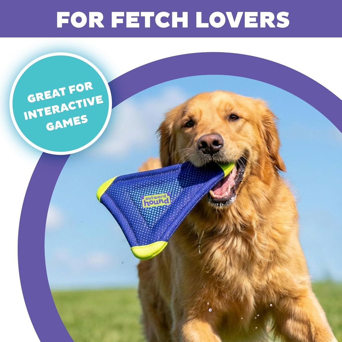 FlyFetch Disc Dog Toy, Aerodynamic for Fetch, Lightweight Foam & Durable Rubber, Floats in Water, All Breeds, 8.3"