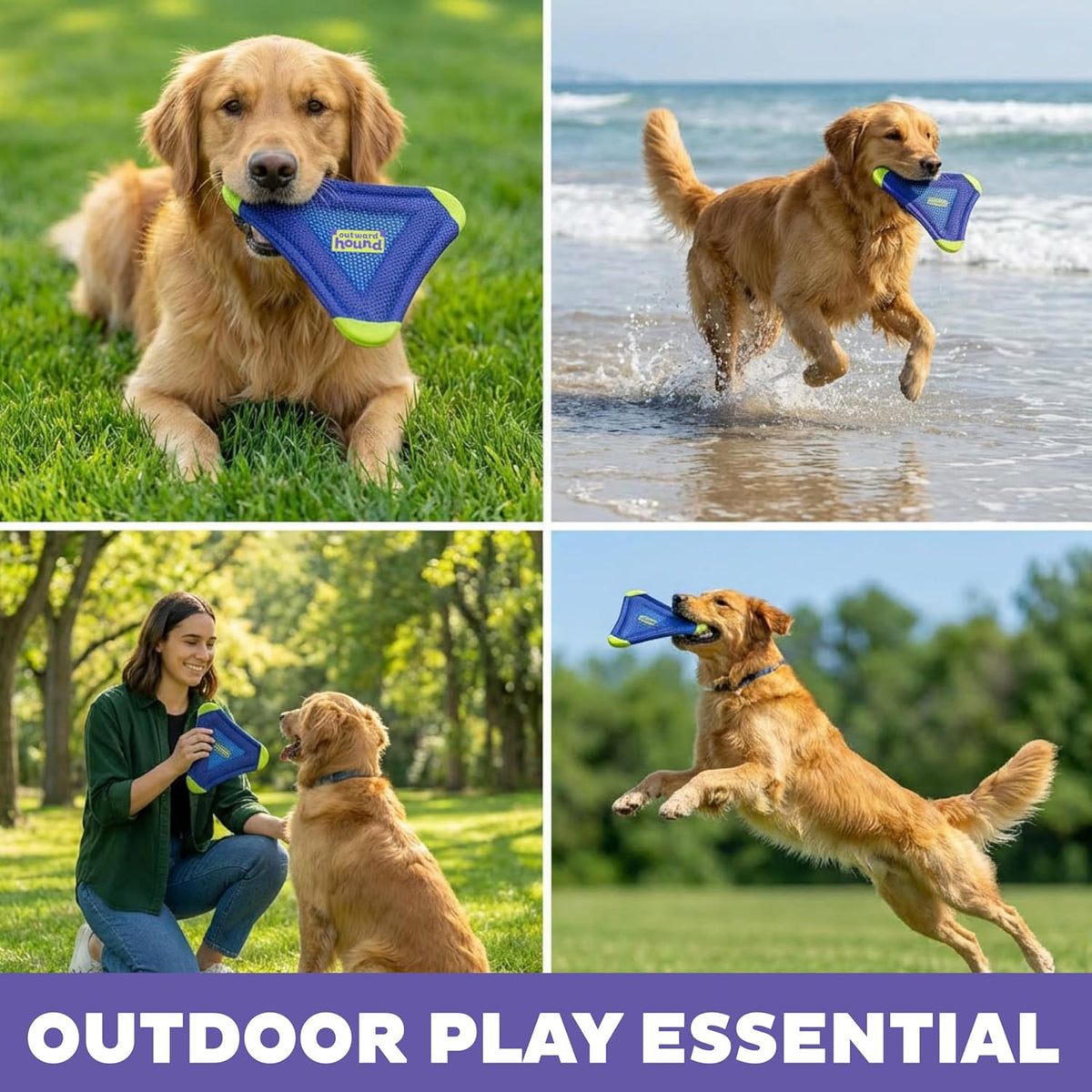 FlyFetch Disc Dog Toy, Aerodynamic for Fetch, Lightweight Foam & Durable Rubber, Floats in Water, All Breeds, 8.3"
