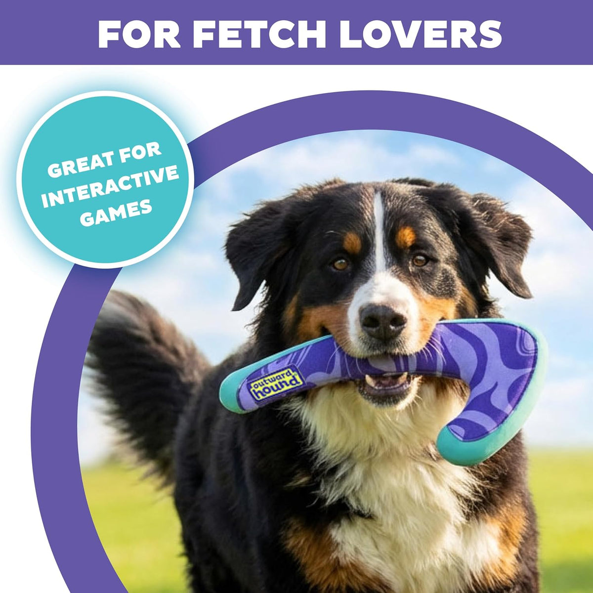 FlyFetch Disc Dog Toy, Aerodynamic for Fetch, Lightweight Foam & Durable Rubber, Floats in Water, All Breeds, 8.3"
