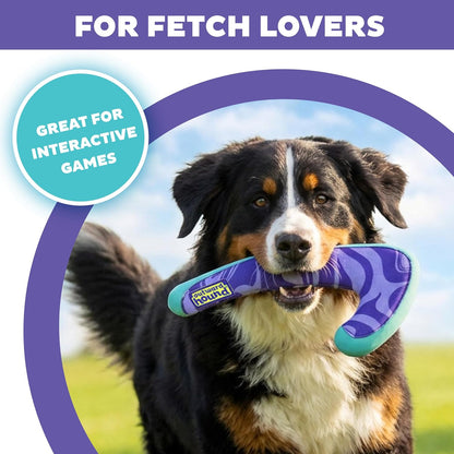 FlyFetch Disc Dog Toy, Aerodynamic for Fetch, Lightweight Foam & Durable Rubber, Floats in Water, All Breeds, 8.3"