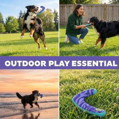 FlyFetch Disc Dog Toy, Aerodynamic for Fetch, Lightweight Foam & Durable Rubber, Floats in Water, All Breeds, 8.3"