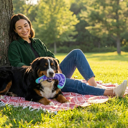 FlyFetch Disc Dog Toy, Aerodynamic for Fetch, Lightweight Foam & Durable Rubber, Floats in Water, All Breeds, 8.3"