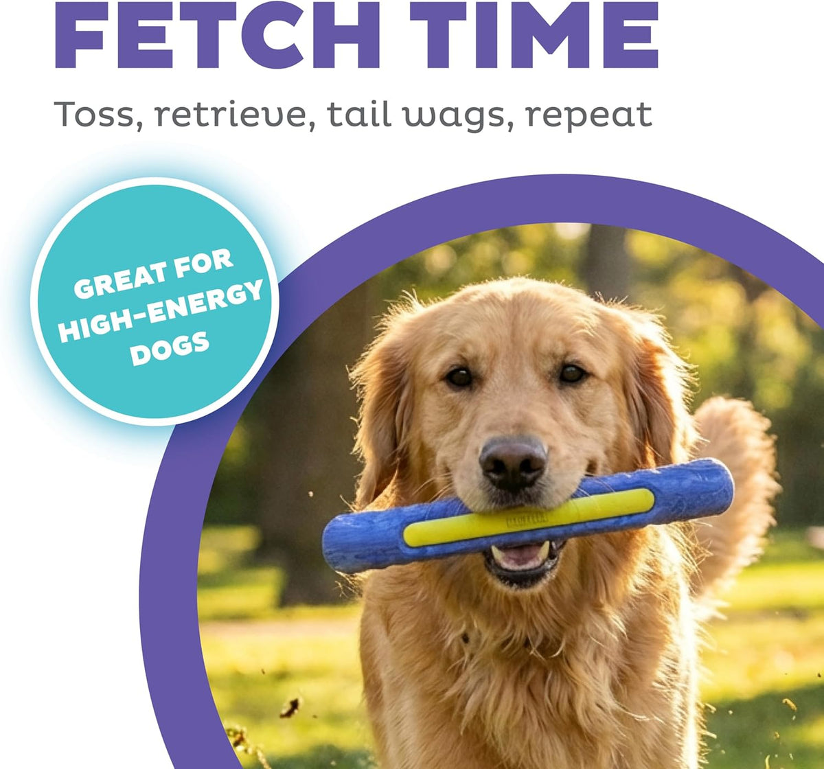 FlyFetch Disc Dog Toy, Aerodynamic for Fetch, Lightweight Foam & Durable Rubber, Floats in Water, All Breeds, 8.3"