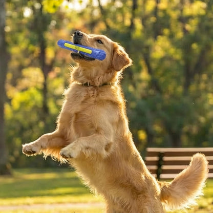 FlyFetch Disc Dog Toy, Aerodynamic for Fetch, Lightweight Foam & Durable Rubber, Floats in Water, All Breeds, 8.3"