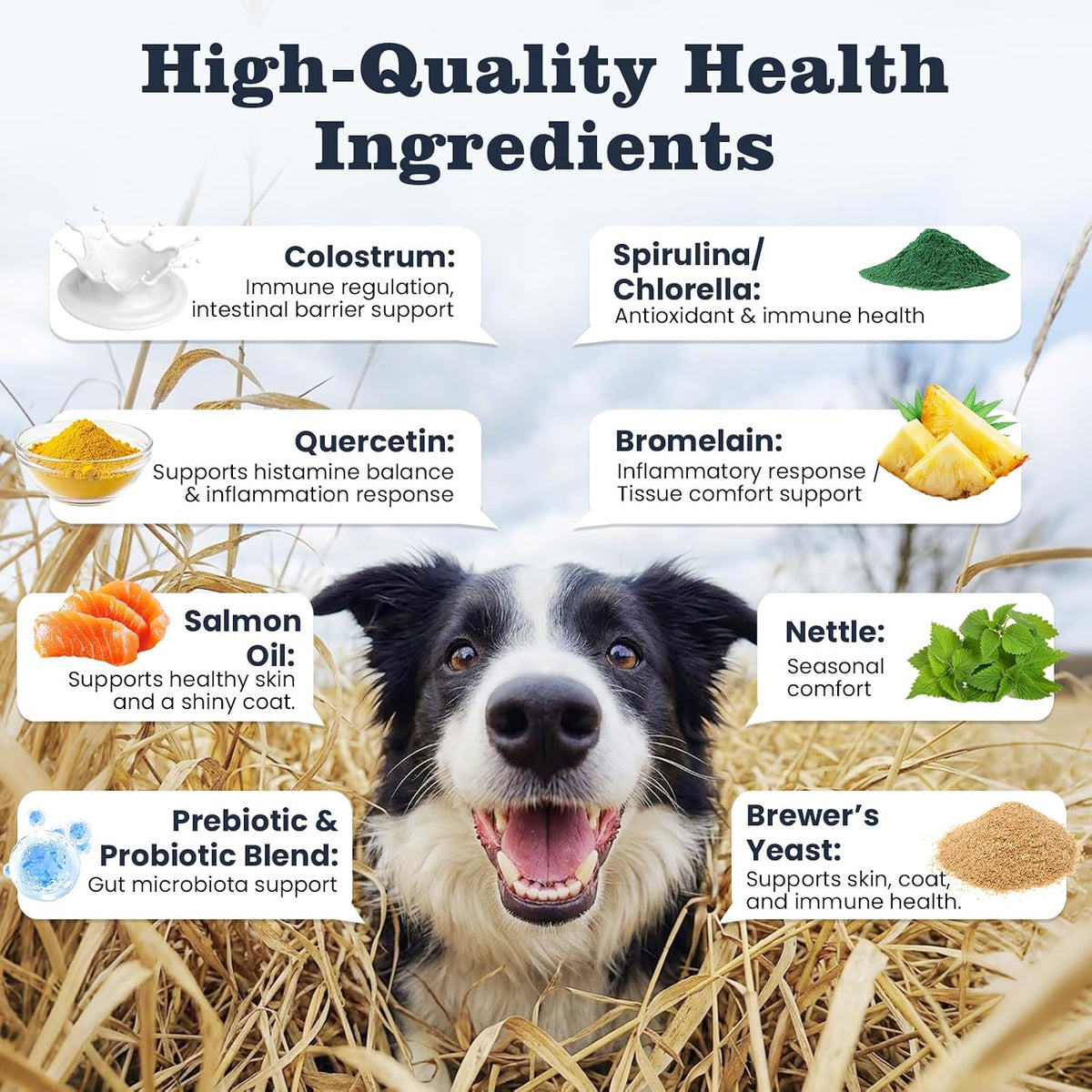 Dog Allergy Chews 200 Ct, Itch Relief for Dogs Immune Support Seasonal All Issues Allergies Colostrum Probiotics & Omega 3 for Skin & Coat, Itchy Skin & Paw Relief Bites, Made in USA