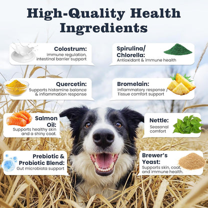 Dog Allergy Chews 200 Ct, Itch Relief for Dogs Immune Support Seasonal All Issues Allergies Colostrum Probiotics & Omega 3 for Skin & Coat, Itchy Skin & Paw Relief Bites, Made in USA