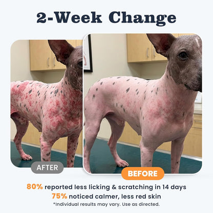 Dog Allergy Chews 200 Ct, Itch Relief for Dogs Immune Support Seasonal All Issues Allergies Colostrum Probiotics & Omega 3 for Skin & Coat, Itchy Skin & Paw Relief Bites, Made in USA