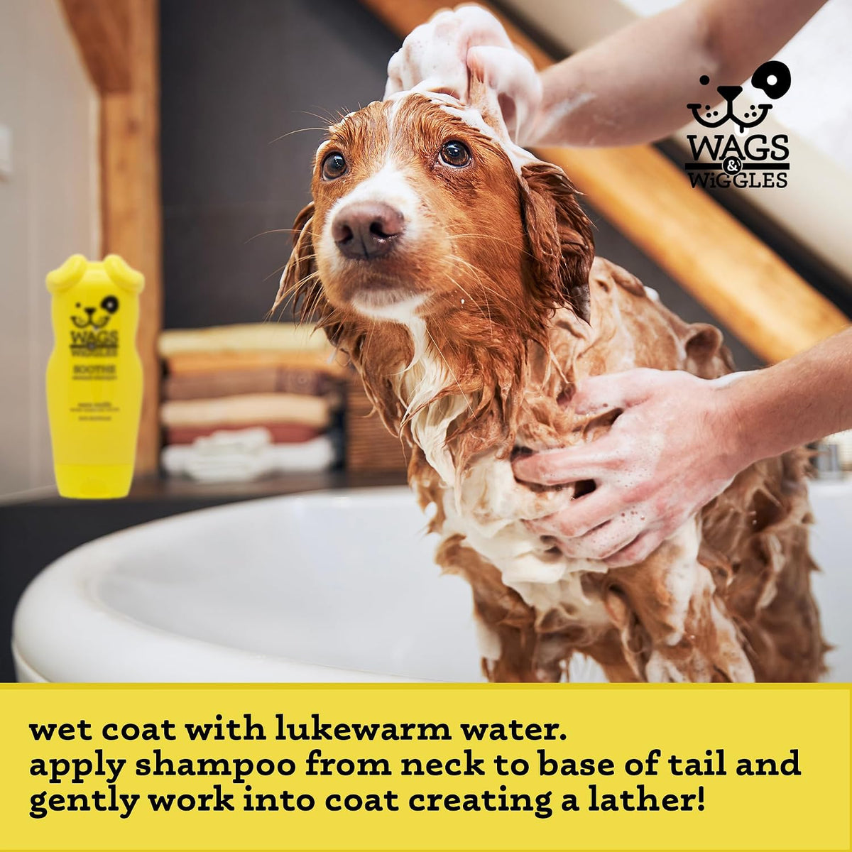 Soothe Oatmeal Dog Shampoo, Warm Vanilla, 16 Oz | pH-balanced colloidal oatmeal formula, for dry, itchy, or sensitive skin, SLS and paraben free daily