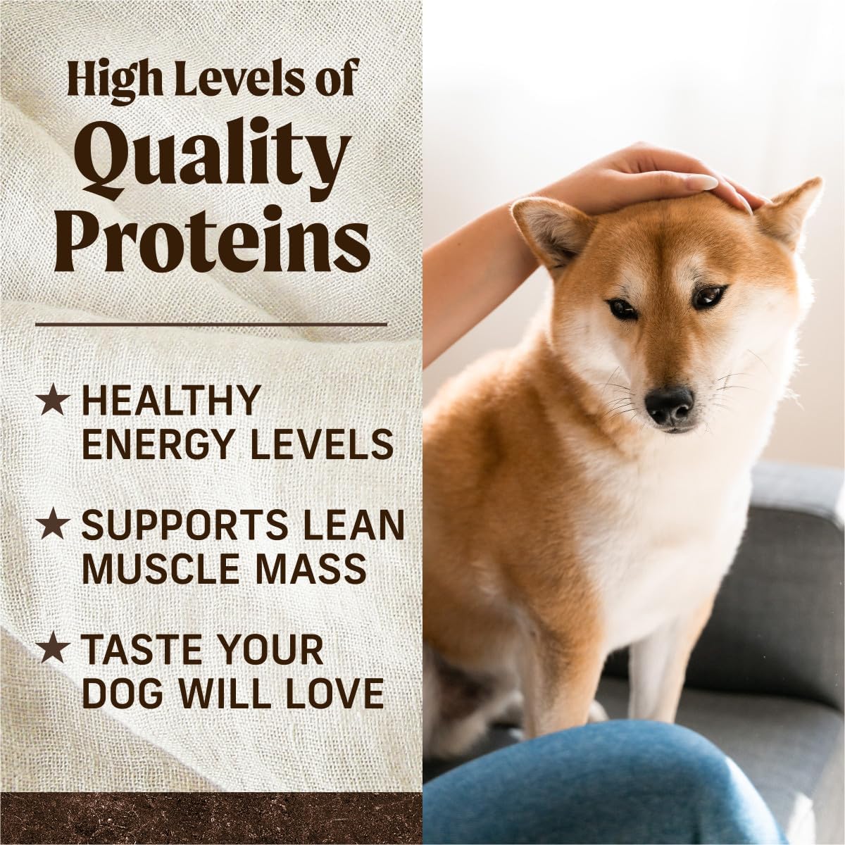 Grain Free Natural Beef Sweet Potoato Dry Adult Dog Food 4lb Bag