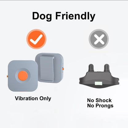Dog Training Collar with Remote Controller - E Collar for Dogs Training Small, Medium, Large Dog Training, Waterproof Dog Collar, Rechargeable Dog Training & Behavior Aids Dog Accessories