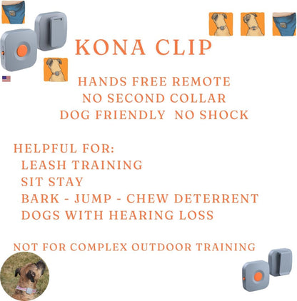 Dog Training Collar with Remote Controller - E Collar for Dogs Training Small, Medium, Large Dog Training, Waterproof Dog Collar, Rechargeable Dog Training & Behavior Aids Dog Accessories