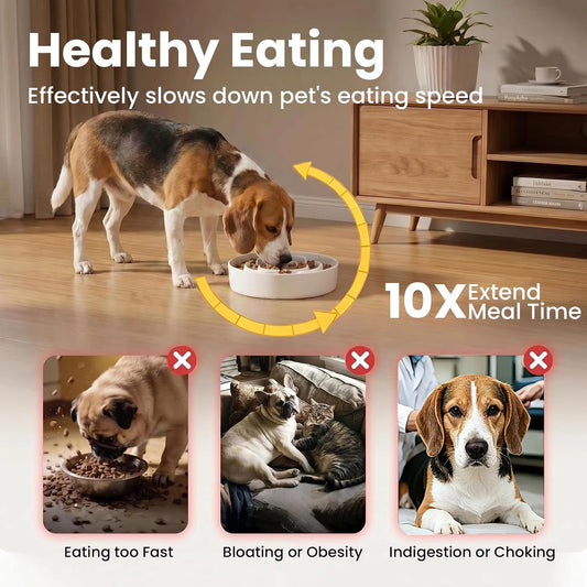 Ceramic Slow Feeder Dog Bowls 1.6 Cups for Medium & Small Fast Eaters,White