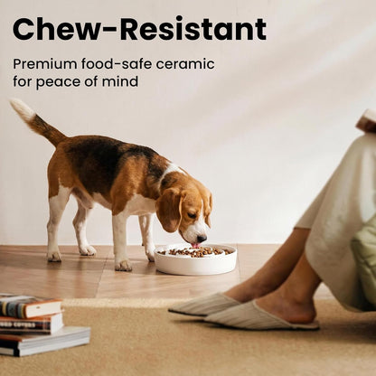Ceramic Slow Feeder Dog Bowls 1.6 Cups for Medium & Small Fast Eaters,White