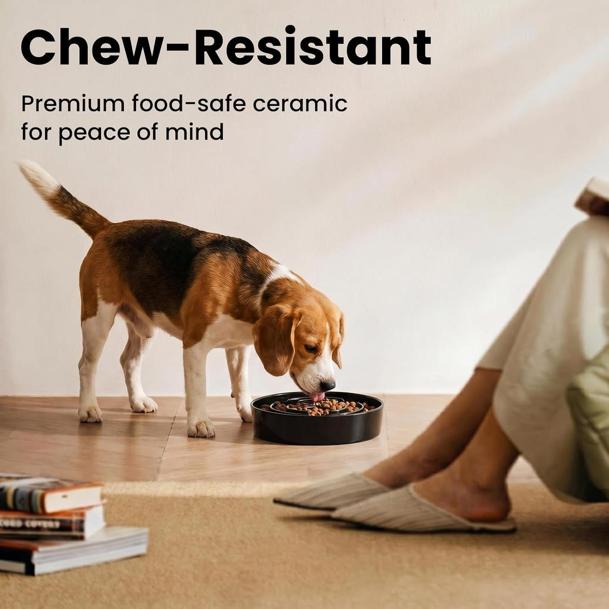 Ceramic Slow Feeder Dog Bowls 1.6 Cups for Medium & Small Fast Eaters,White