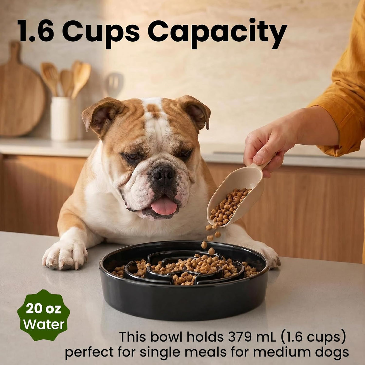 Ceramic Slow Feeder Dog Bowls 1.6 Cups for Medium & Small Fast Eaters,White