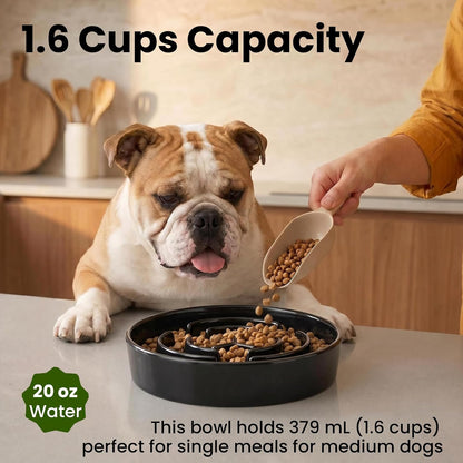 Ceramic Slow Feeder Dog Bowls 1.6 Cups for Medium & Small Fast Eaters,White