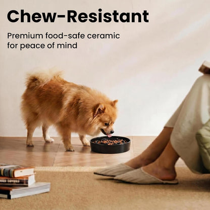 Ceramic Slow Feeder Dog Bowls 1.6 Cups for Medium & Small Fast Eaters,White