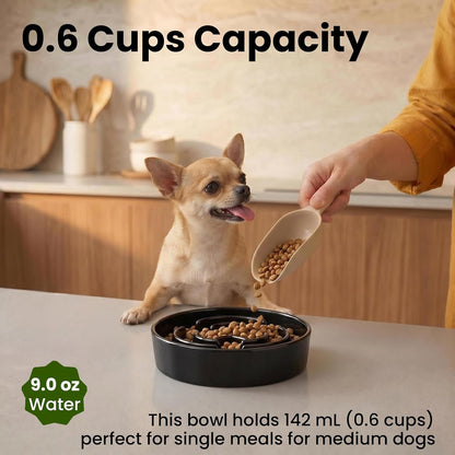 Ceramic Slow Feeder Dog Bowls 1.6 Cups for Medium & Small Fast Eaters,White