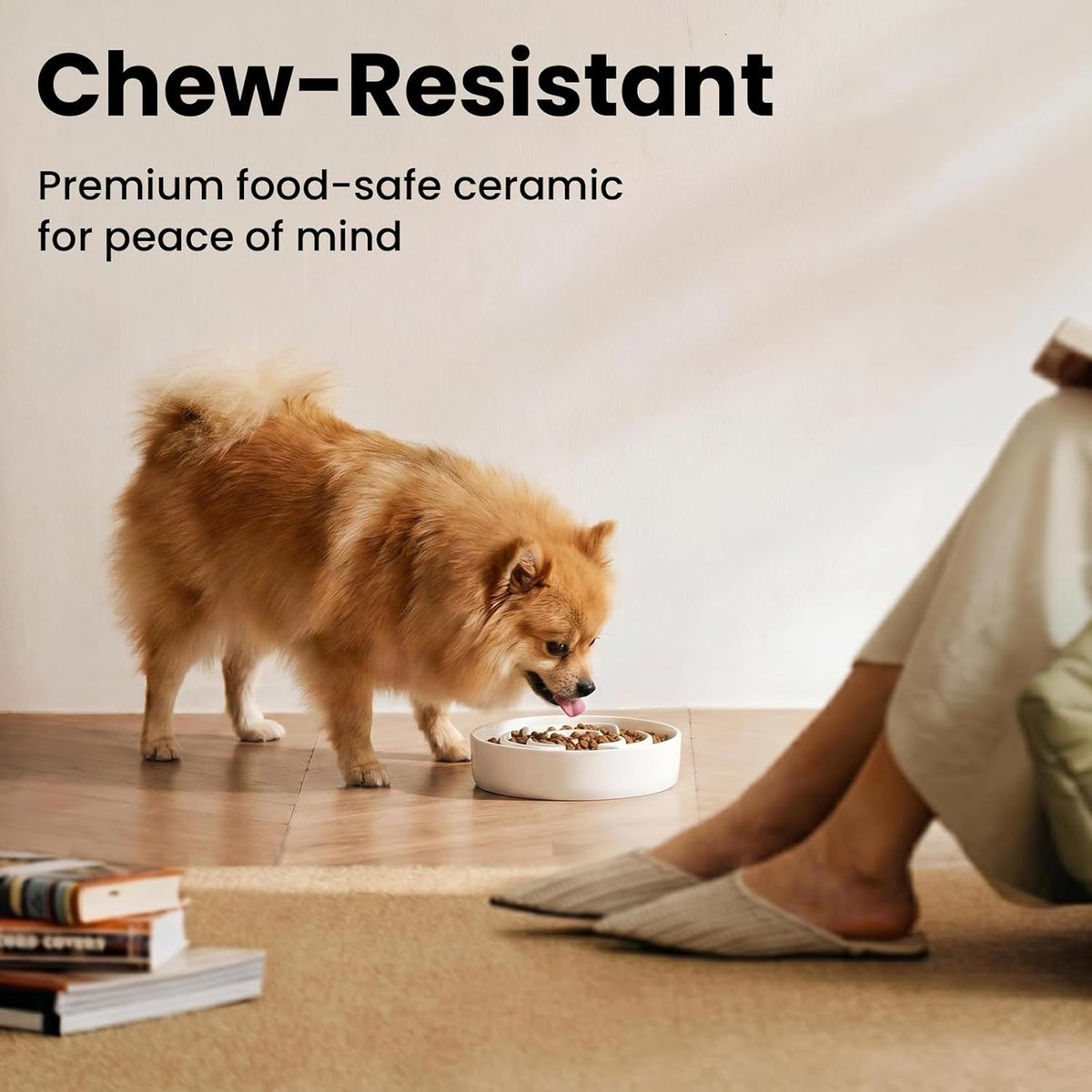 Ceramic Slow Feeder Dog Bowls 1.6 Cups for Medium & Small Fast Eaters,White