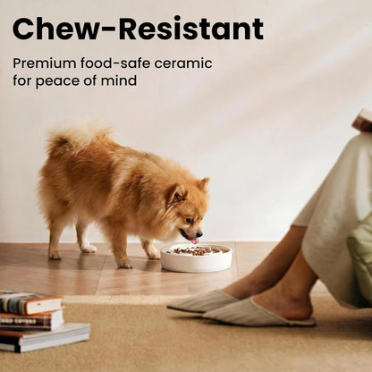 Ceramic Slow Feeder Dog Bowls 1.6 Cups for Medium & Small Fast Eaters,White