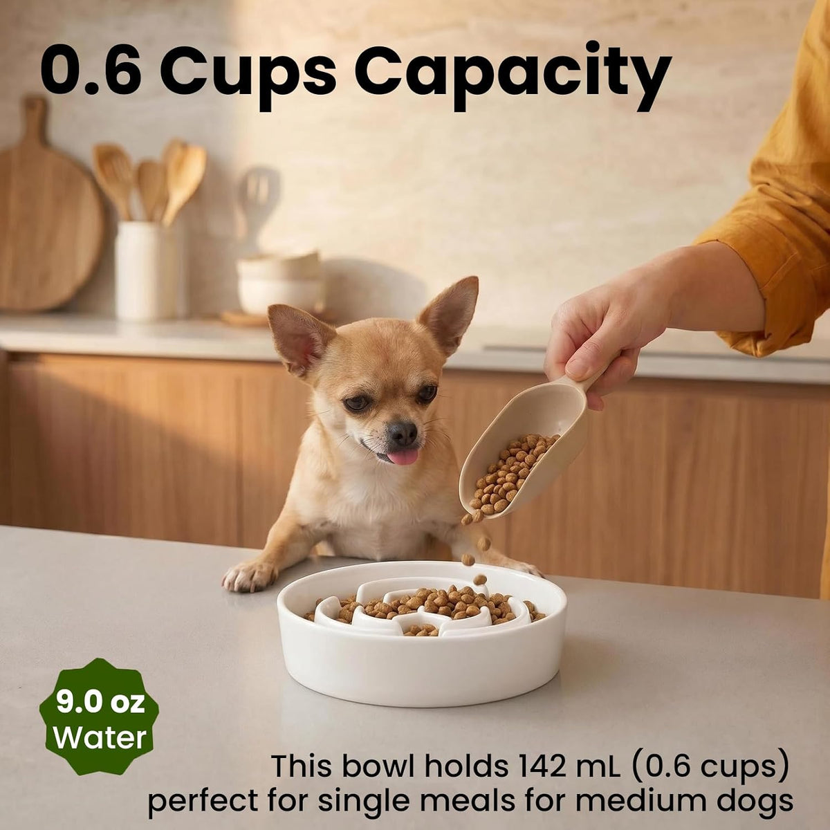 Ceramic Slow Feeder Dog Bowls 1.6 Cups for Medium & Small Fast Eaters,White