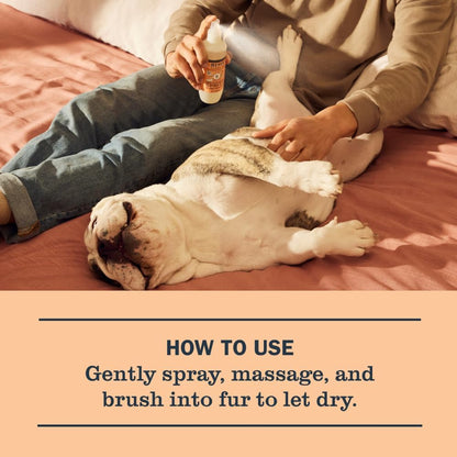 Clean Day 3 in 1 Dog Shampoo, Sweet Chamomile Scent, 14oz