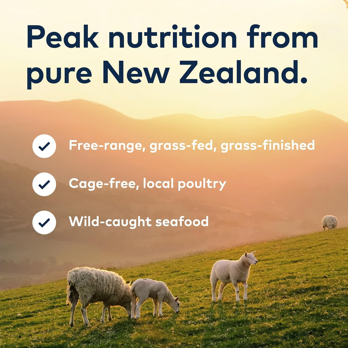 Peak Air-Dried Dog Food – Beef - All Natural, High Protein, Grain Free, Limited Ingredient w/ Superfoods (16oz)
