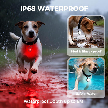 2 Pack Double Sided Dog Collar Light, 6 Modes Dog Lights for Night Walking, Rechargeable LED Pet Collar Light for Nighttime Clip on, IP68 Waterproof Pet Walking Accessories