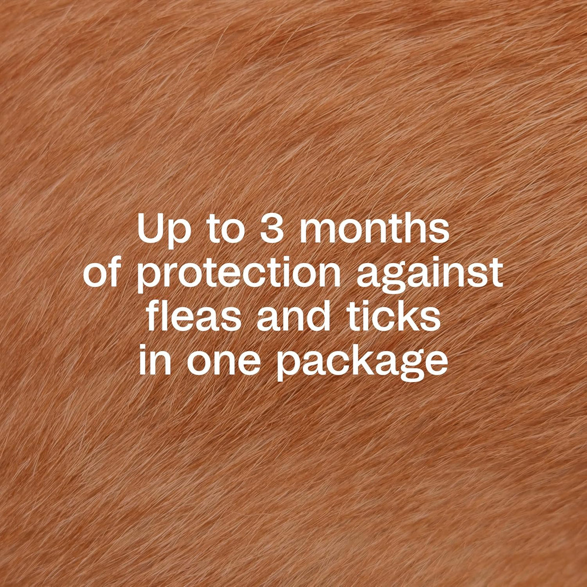 Plus Flea & Tick Prevention Spot On for Toy/Small Dogs, 3 Pack