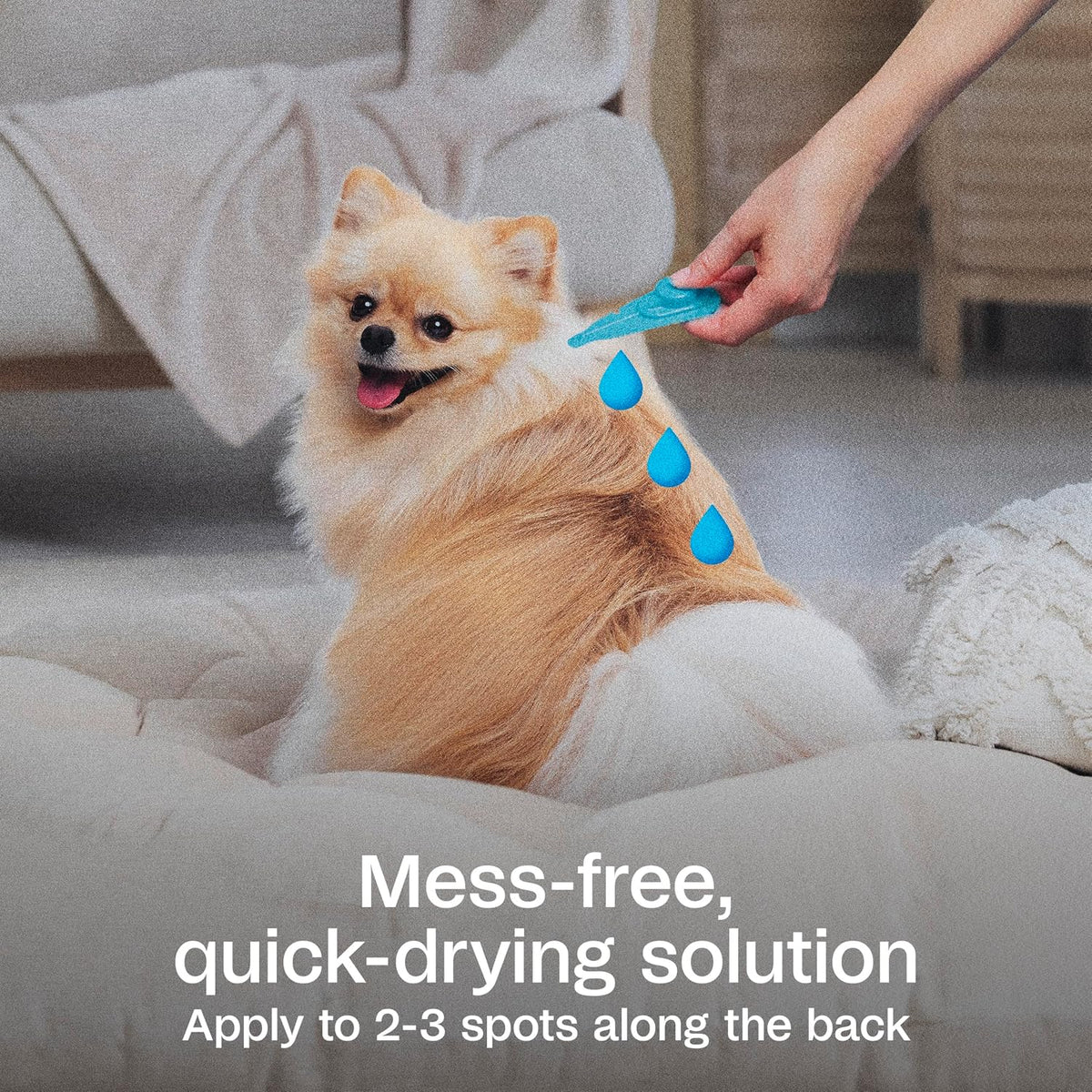 Plus Flea & Tick Prevention Spot On for Toy/Small Dogs, 3 Pack