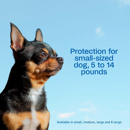 Plus Flea & Tick Prevention Spot On for Toy/Small Dogs, 3 Pack
