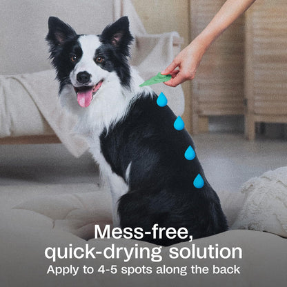 Plus Flea & Tick Prevention Spot On for Toy/Small Dogs, 3 Pack